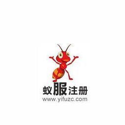 互联网金融信息服务 变革时代的数据驱动与风险管控